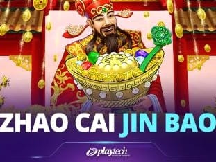 Zhao Cai Tong Zi game cover